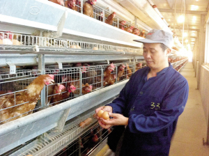 打造杭州禽蛋業(yè)“航母”,袁坤生信心滿滿