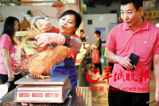 活雞將停售老廣搶貨忙今起廣州82家肉菜市場(chǎng)無(wú)活雞賣