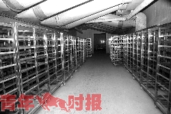 杭州全程冷鮮的雞鴨6月初上市 