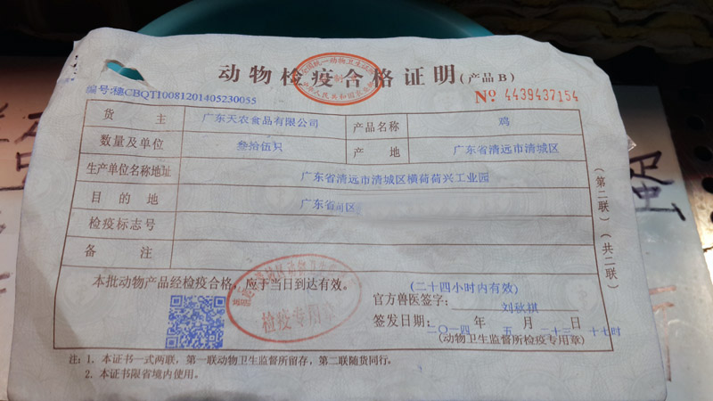 廣州“冰鮮雞”試點檔主：“走鬼”影響大 希望政府嚴管【5】