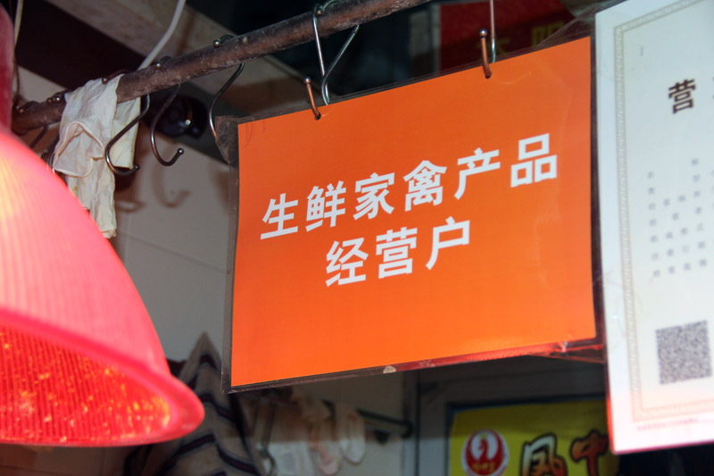 廣州“冰鮮雞”試點檔主：“走鬼”影響大 希望政府嚴管【2】