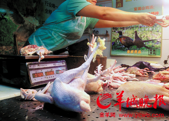 　　珠江新城國六寶市場內，一家偷賣光雞的檔口正在營業(yè)