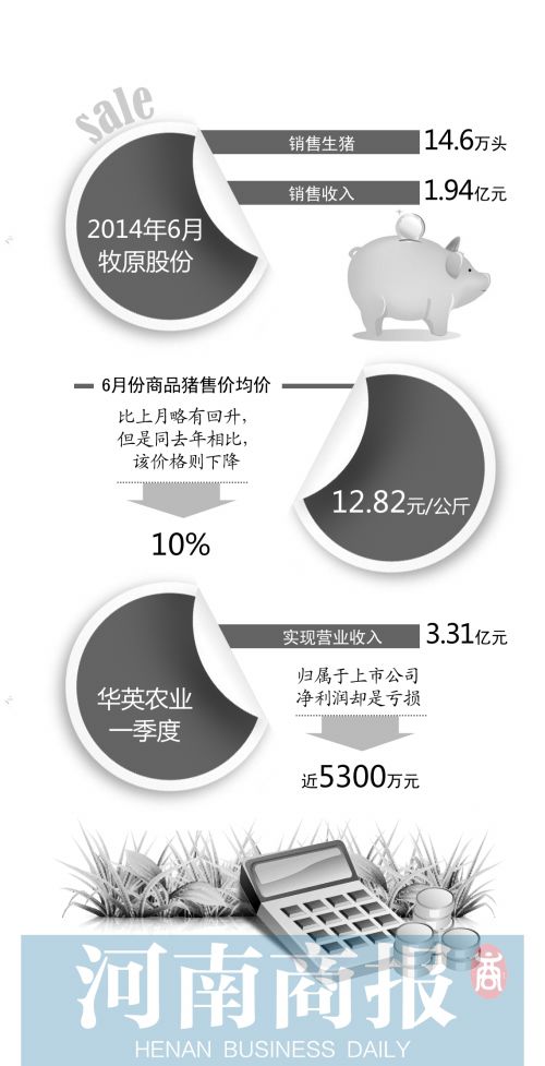 首席編輯