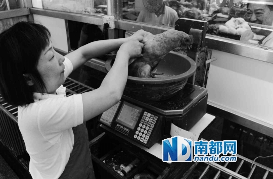 <p>    市民長(zhǎng)期購(gòu)買(mǎi)活禽的習(xí)慣短期內(nèi)無(wú)法改變，有可能前往南山或羅湖周邊購(gòu)買(mǎi)活禽。C FP供圖</p>