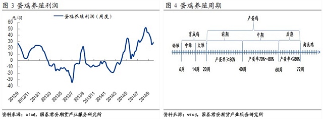 【劉佳偉(飼料養(yǎng)殖組)】供應仍偏緊 雞蛋看漲預期漸濃 