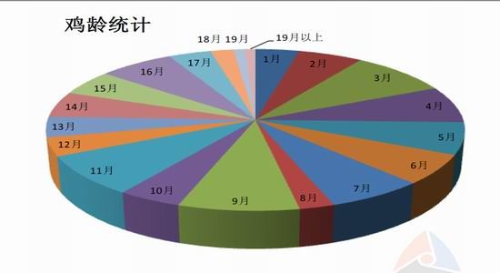 金友期貨(年報)：雞蛋15年寒冬里的一把火