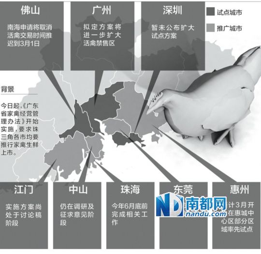 今日起，《廣東省家禽經(jīng)營管理辦法》開始實施，要求珠三角各市均要推行家禽生鮮上市。但昨日南都記者了解到，三個試點城市中，廣州、佛山將進一步擴大活禽禁售區(qū)，其他各市則未公布具體方案。
