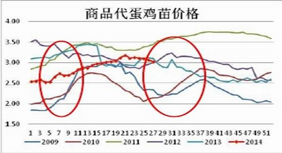 方正中期(年報)：供應預期改善雞蛋難創(chuàng)新高