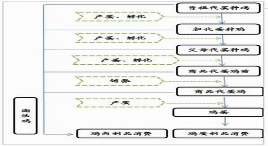 方正中期(年報)：供應預期改善雞蛋難創(chuàng)新高