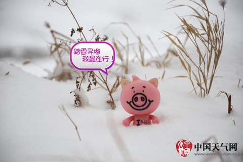 入冬來最大范圍雨雪襲中東部 湘黔有凍雨
