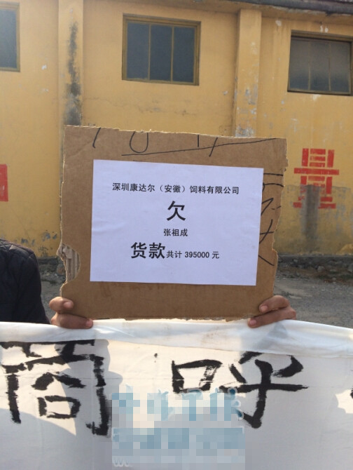 中國養(yǎng)殖網(wǎng) www.chinabreed.com