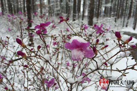 江南華南強降雨持續(xù) 【3省】有大暴雨
