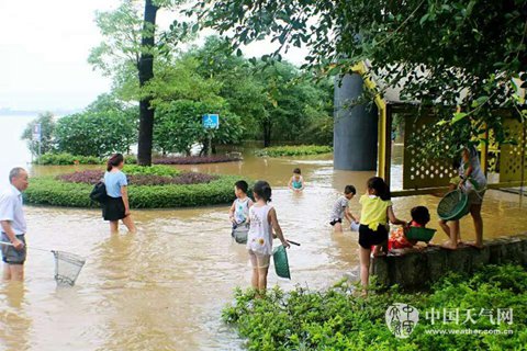 長江中下游地區(qū)降雨增強(qiáng) 【5省】迎暴雨