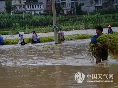 華南局地大暴雨 華北降雨增強(qiáng)多地中雨