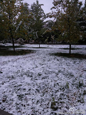 新疆迎下半年來最強降雪 四川盆地【暴雨】