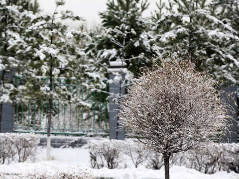 西北多地迎下半年首場雪 【廣西】局地暴雨