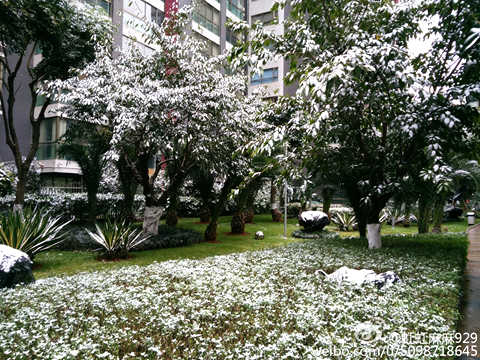 未來(lái)三天江南華南天氣晴冷  西南多陰雨