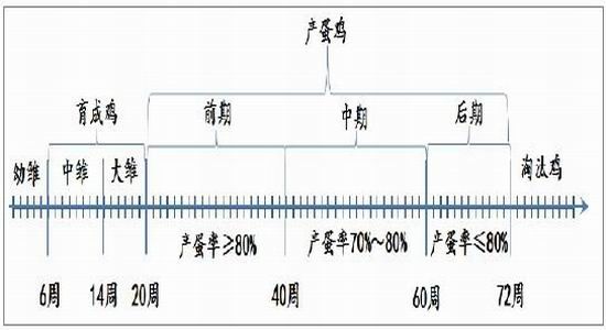 方正中期(年報(bào)):生產(chǎn)成本調(diào)降