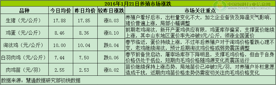 雞評(píng).png