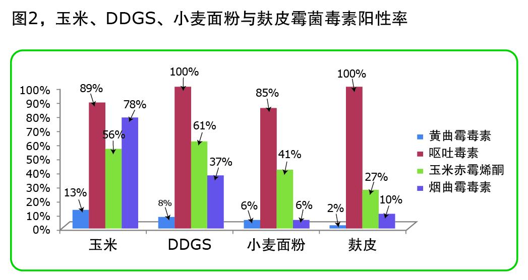 圖2.jpg