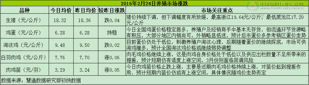 雞評.png
