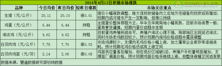 雞評(píng).png