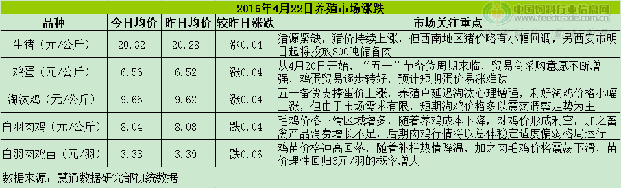 雞評(píng).png