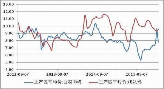 方正中期:雞蛋供應(yīng)充足