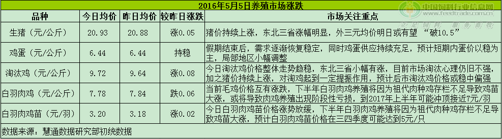 雞評(píng).png