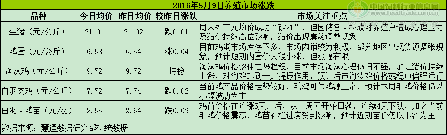 雞評(píng).png