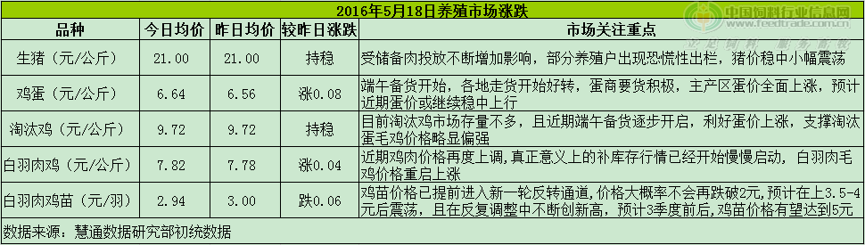 雞評(píng).png