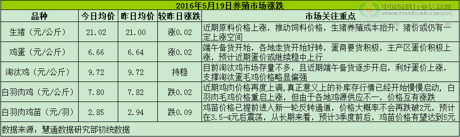 雞評.png