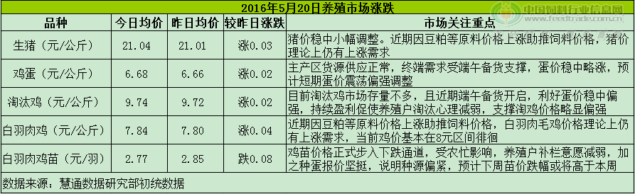 雞評.png