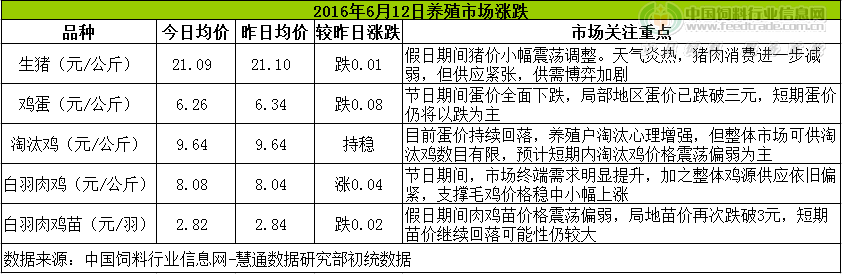 雞評.png