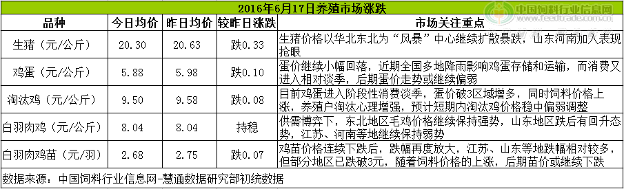 雞評(píng).png