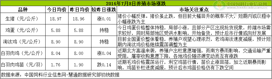 雞評(píng).png