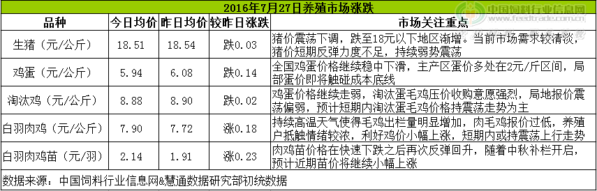 雞評.png