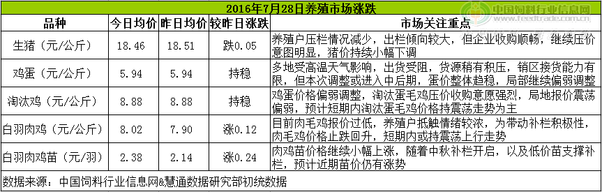 雞評(píng).png