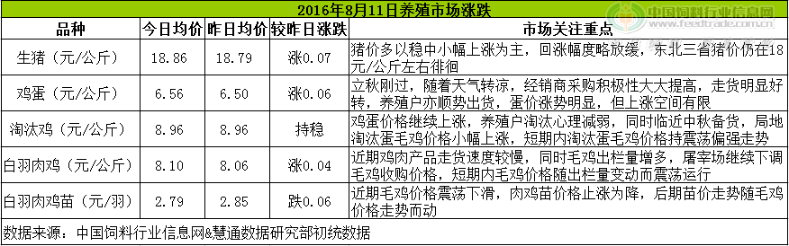 雞評.png