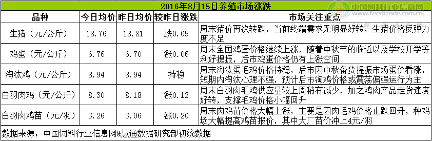雞評.png
