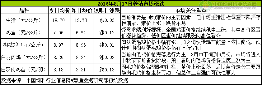雞評(píng).png