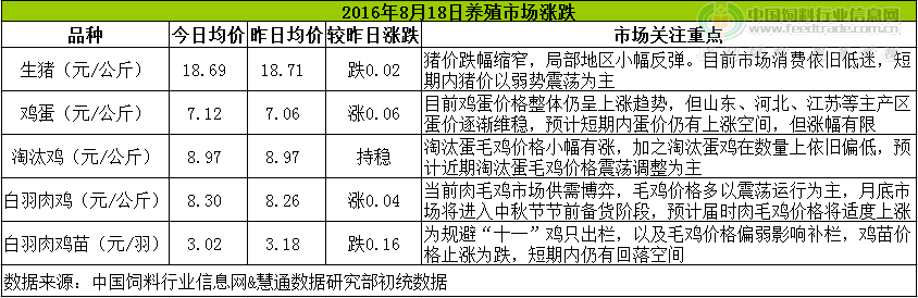雞評(píng).png
