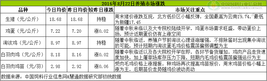 雞評.png