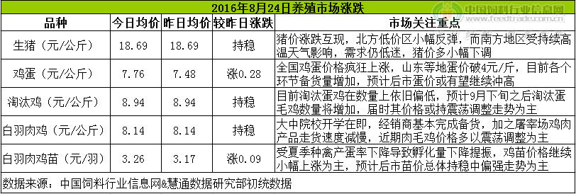 雞評(píng).png