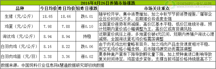 雞評(píng).png