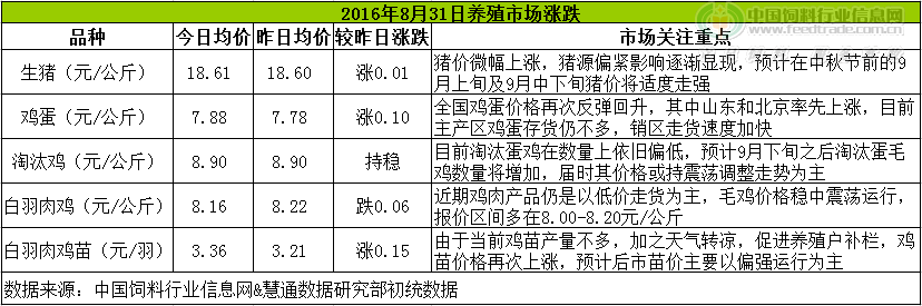 雞評.png