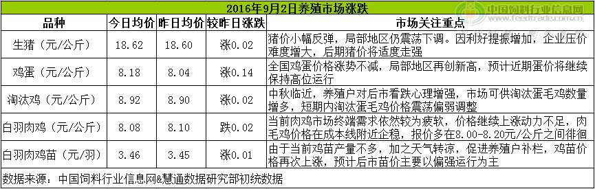 雞評.png