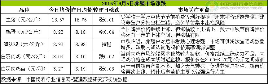 雞評.png