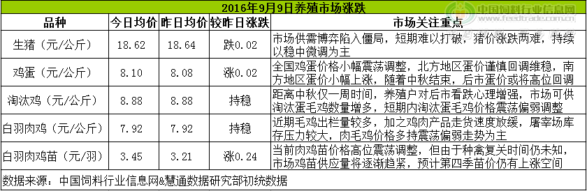 雞評(píng).png