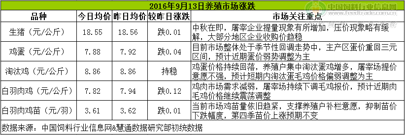 雞評(píng).png